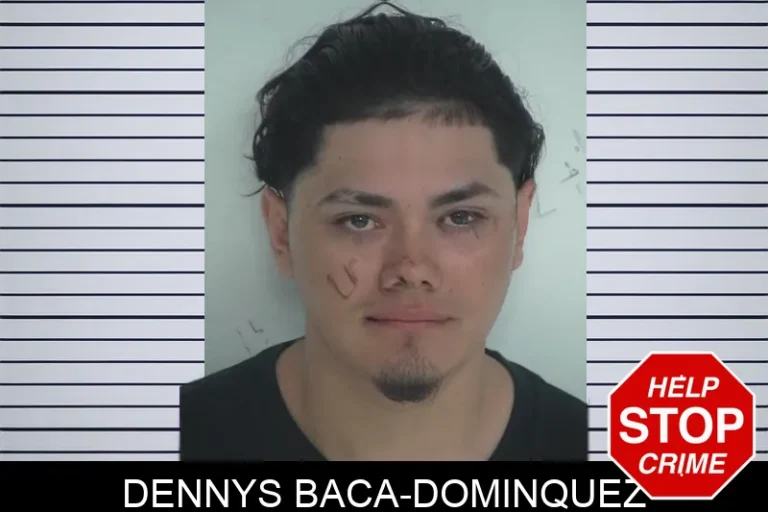 Dennys Baca-Dominquez