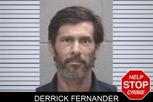 Derrick Fernander mugshot
