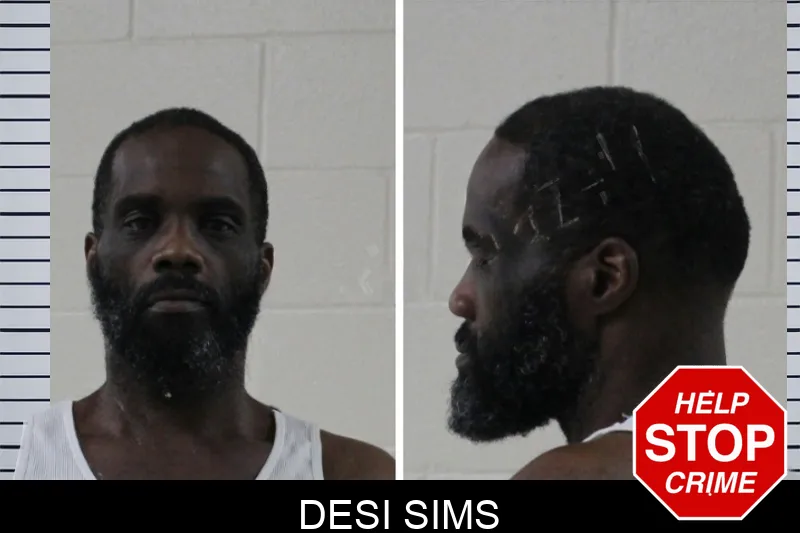 Desi Sims Mugshots