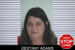 Destany Adams mugshot