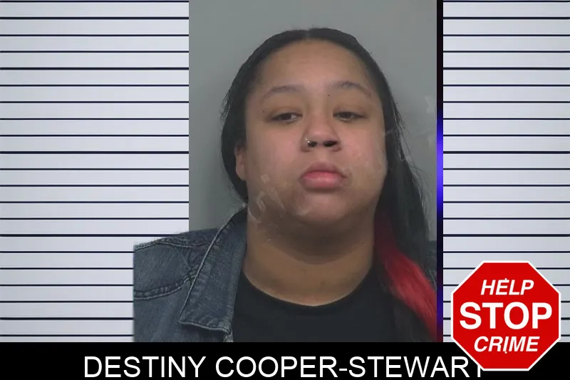 Destiny Cooper-Stewart mugshot – Gwinnett County , Georgia Destiny Cooper-Stewart mugshot