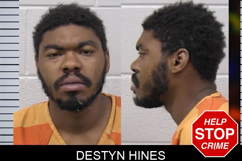 Destyn Hines mugshot – Paulding County , Georgia Destyn Hines mugshot