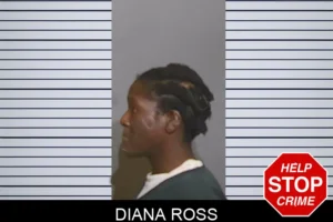 Diana Ross mugshot