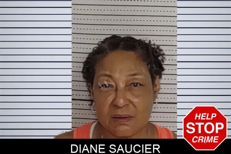 Diane Saucier