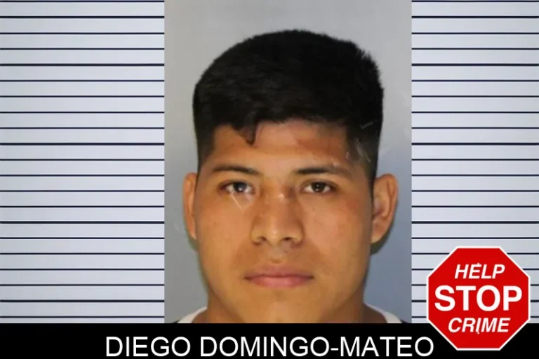 Diego Domingo-Mateo