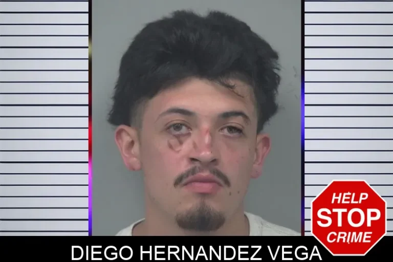 Diego Hernandez Vega