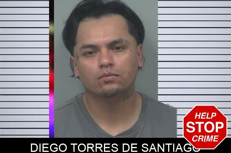 Diego Torres De Santiago mugshot