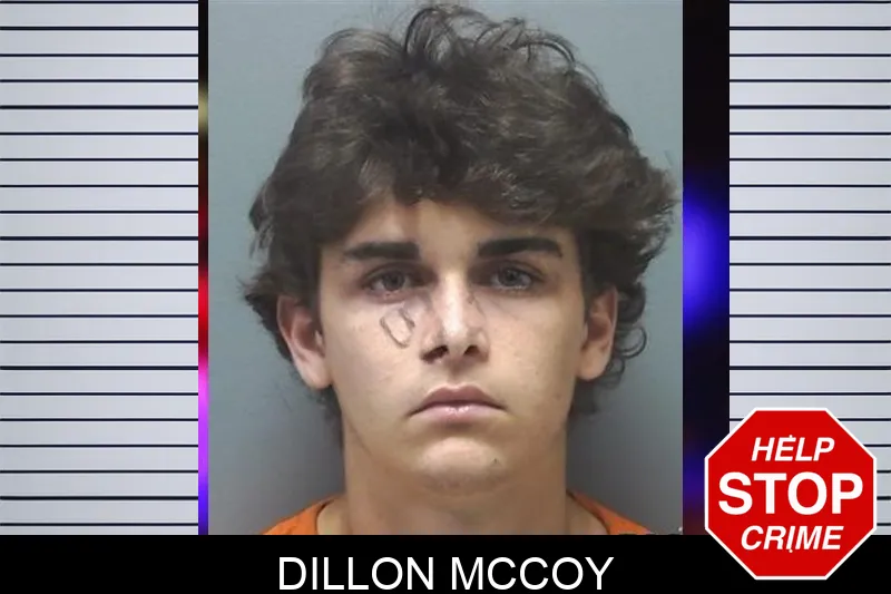 Dillon McCoy Mugshots