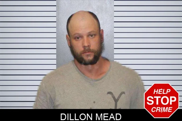 Dillon Mead