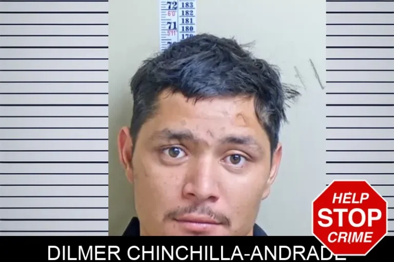 Dilmer Chinchilla-Andrade