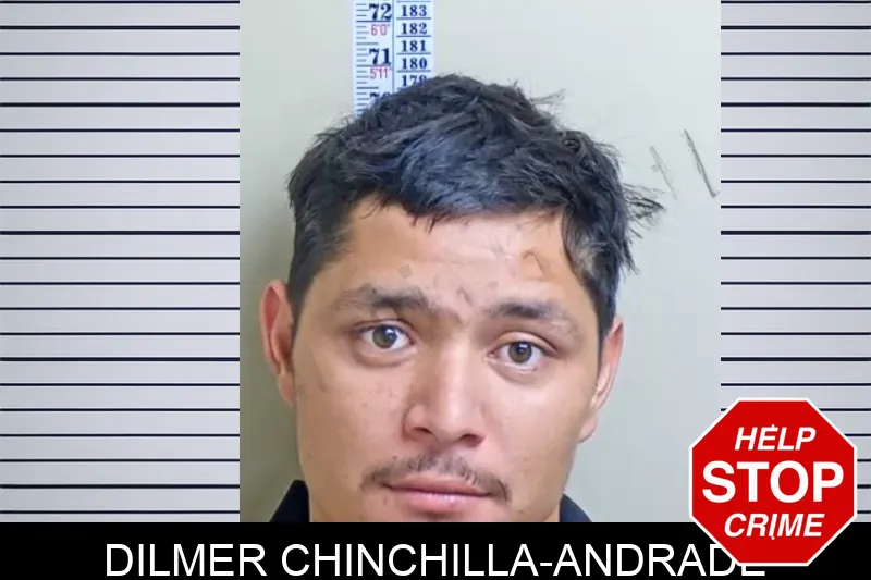 Dilmer Chinchilla-Andrade Mugshots