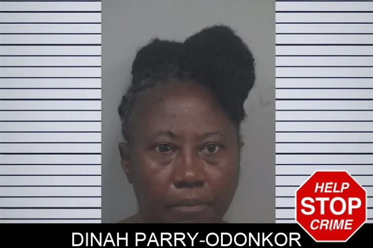 Dinah Parry-Odonkor