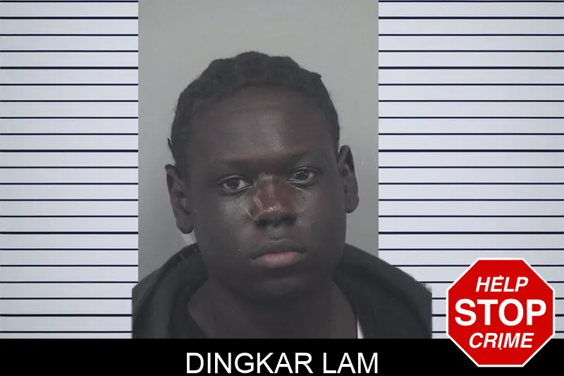 Dingkar Lam Mugshots