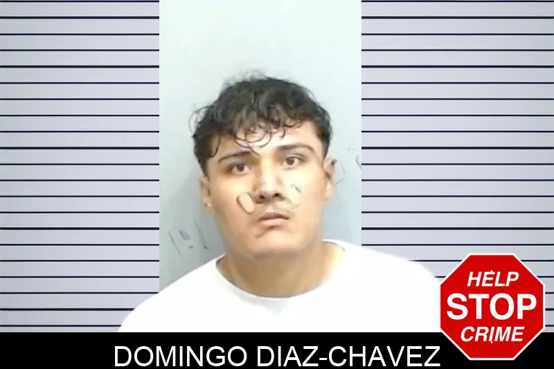 Domingo Diaz-Chavez Mugshots
