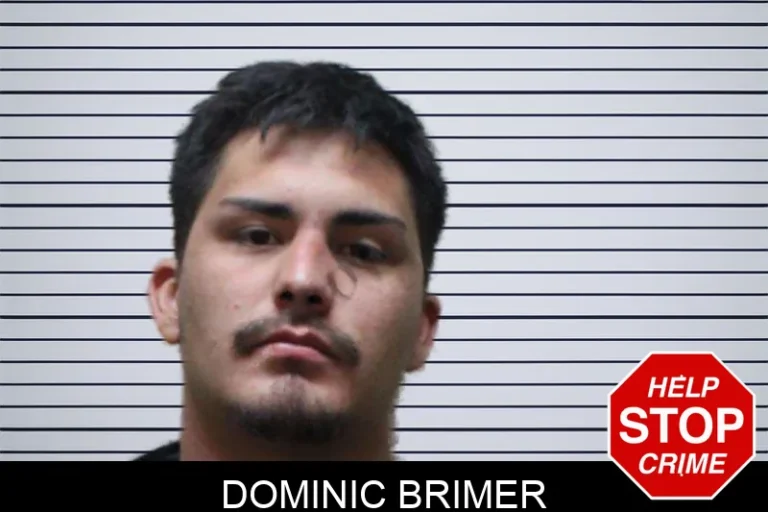 Dominic Brimer