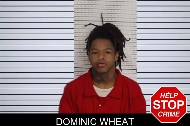 Dominic Wheat Mugshots