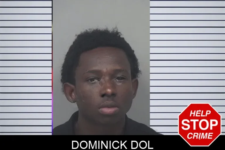 Dominick Dol mugshot – Gwinnett County , Georgia Dominick Dol