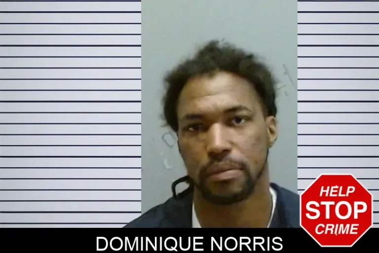 Dominique Norris mugshot – Fulton County , Georgia Dominique Norris