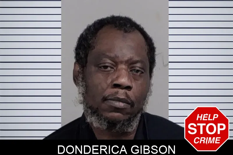 Donderica Gibson Mugshots