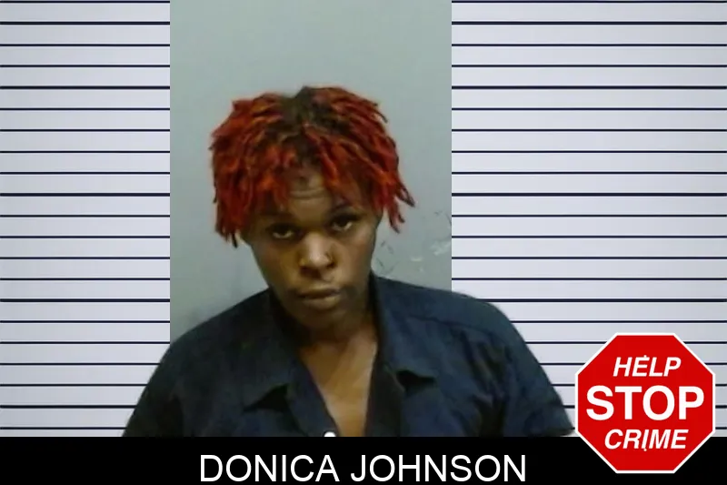 Donica Johnson Mugshots