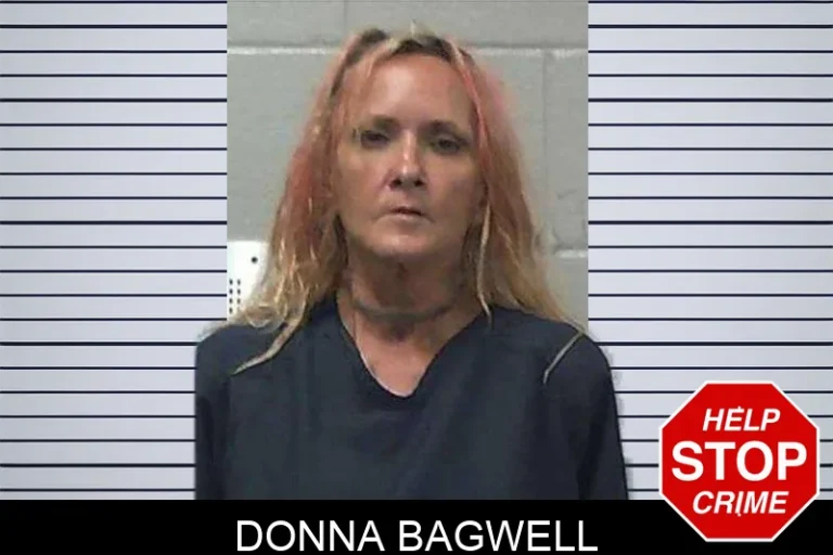 Donna Bagwell mugshot – Gilmer County , Georgia Donna Bagwell
