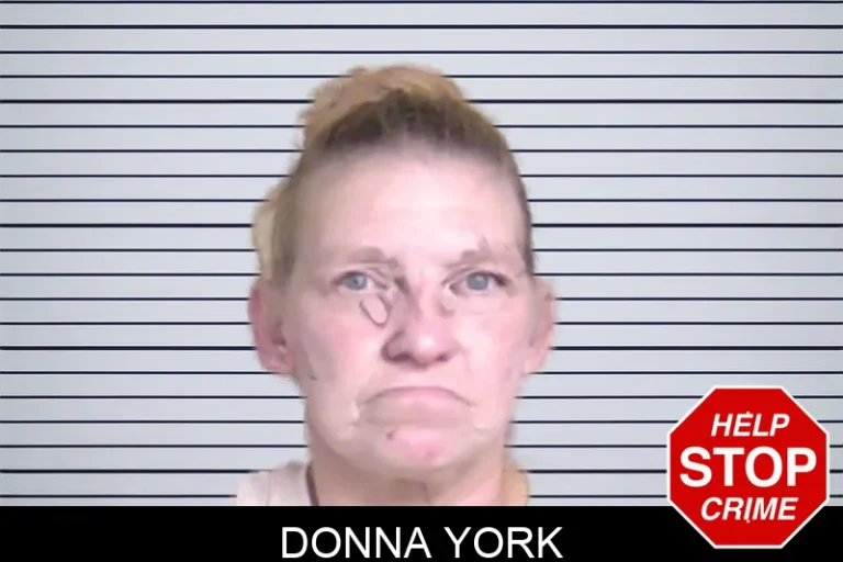 Donna York