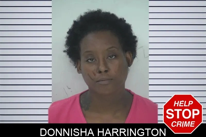 Donnisha Harrington mugshot