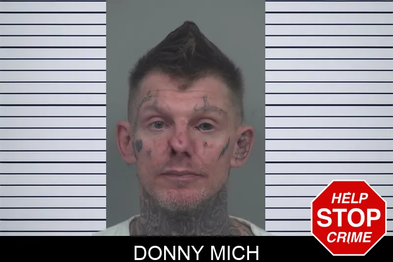 Donny Mich mugshot