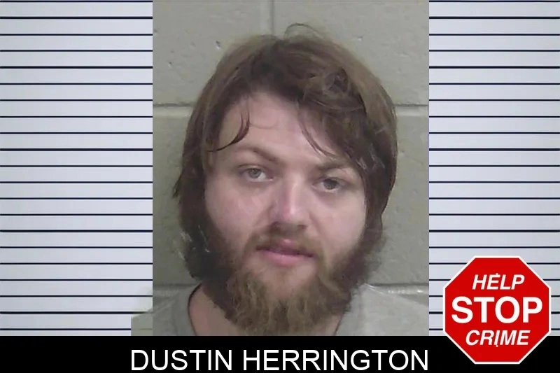 Dustin Herrington Mugshots