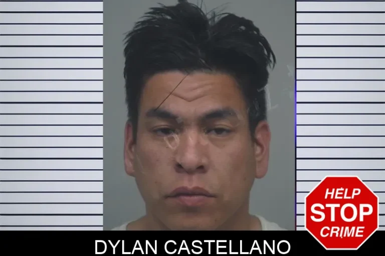 Dylan Castellano mugshot – Gwinnett County , Georgia Dylan Castellano