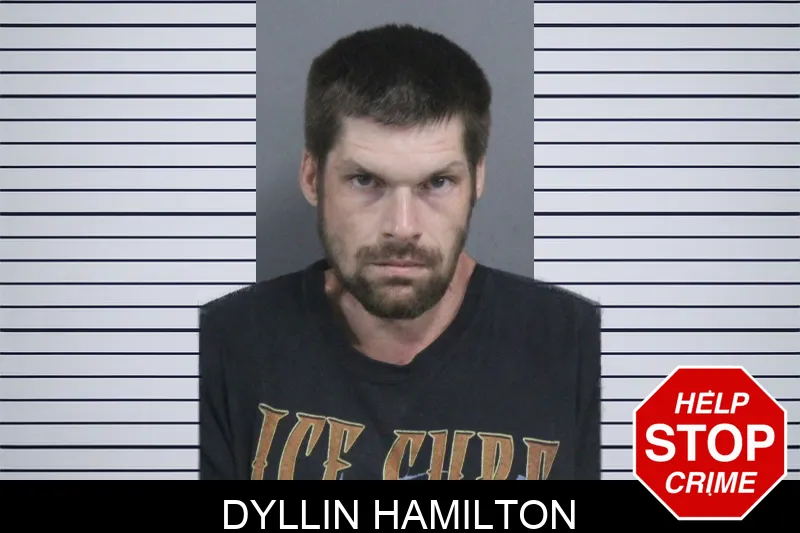 Dyllin Hamilton Mugshots
