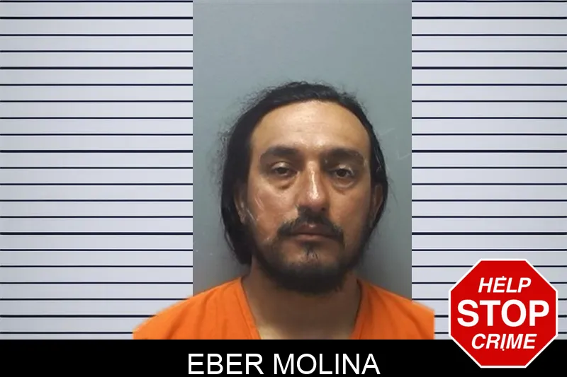 Eber Molina mugshot