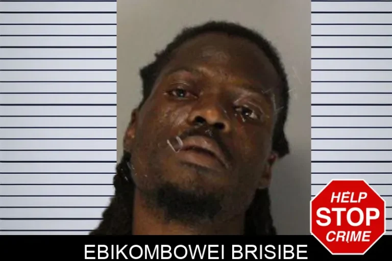 Ebikombowei Brisibe