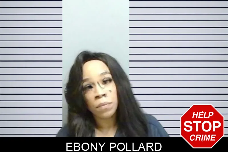 Ebony Pollard mugshot – Fulton County , Georgia Ebony Pollard mugshot