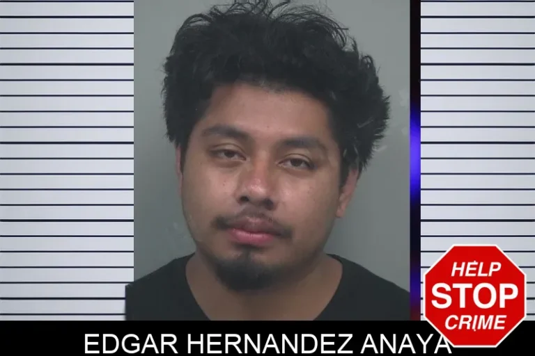 Edgar Hernandez Anaya