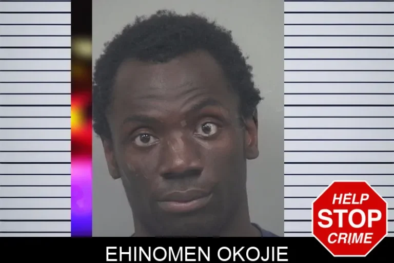 Ehinomen Okojie