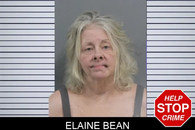 Elaine Bean