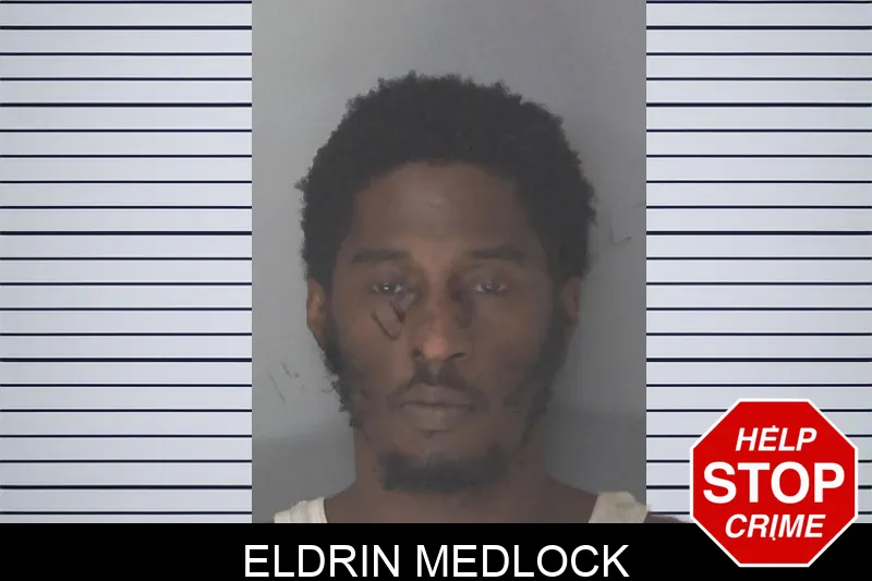 Eldrin Medlock mugshot