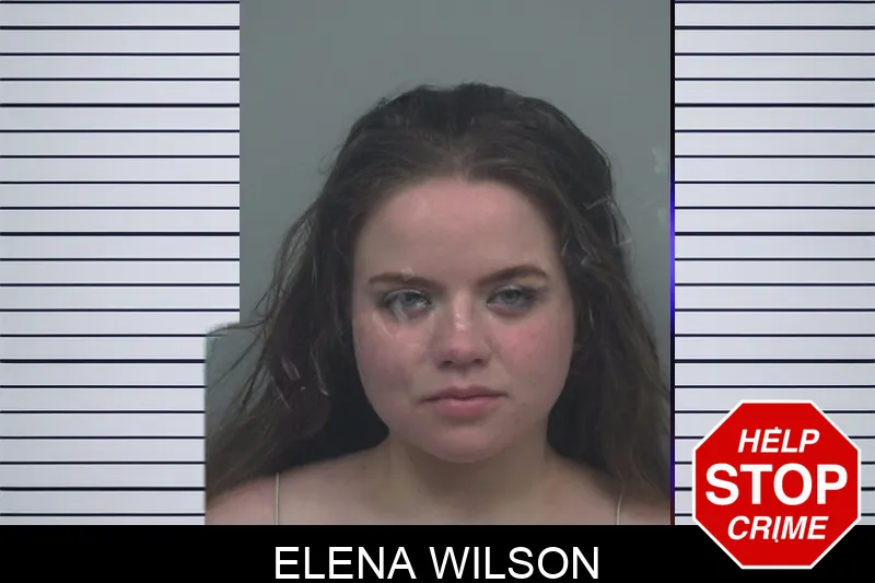 Elena Wilson Mugshots