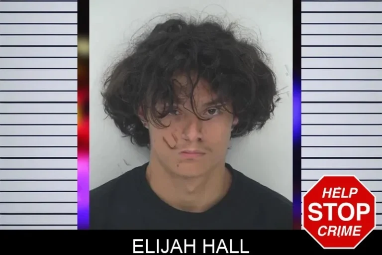 Elijah Hall mugshot – Fayette County , Georgia Elijah Hall