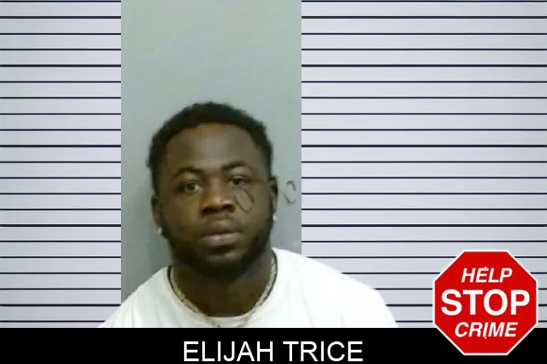 Elijah Trice mugshot – Fulton County , Georgia Elijah Trice