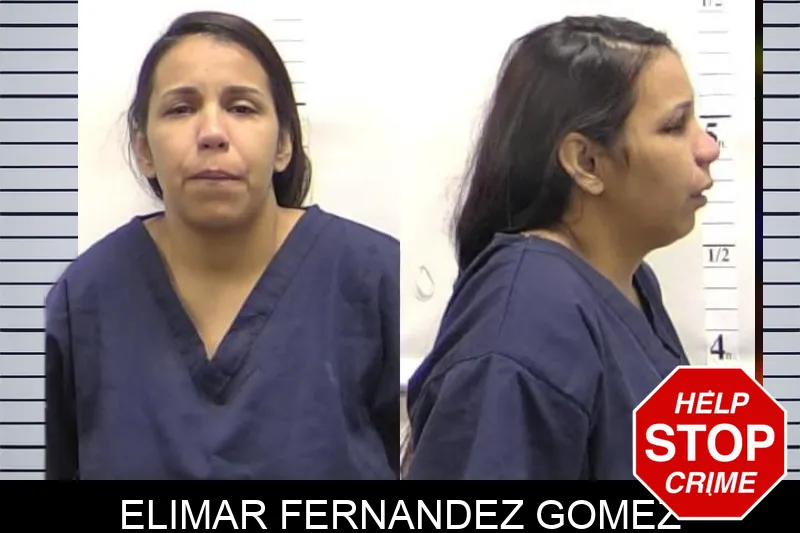 Elimar Fernandez Gomez mugshot