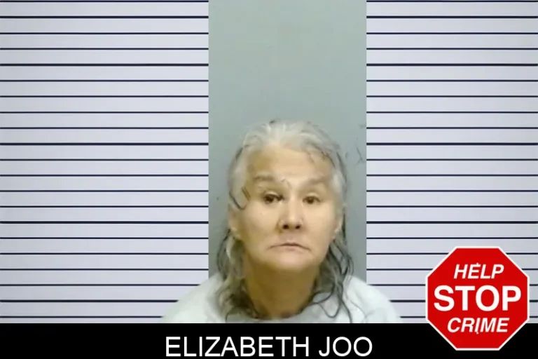 Elizabeth Joo mugshot – Fulton County , Georgia Elizabeth Joo