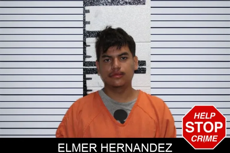 Elmer Hernandez mugshot – Murray County , Georgia Elmer Hernandez