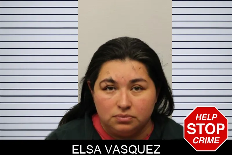 Elsa Vasquez Mugshots