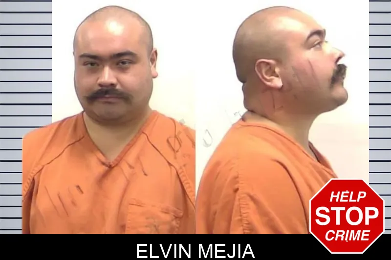 Elvin Mejia Mugshots