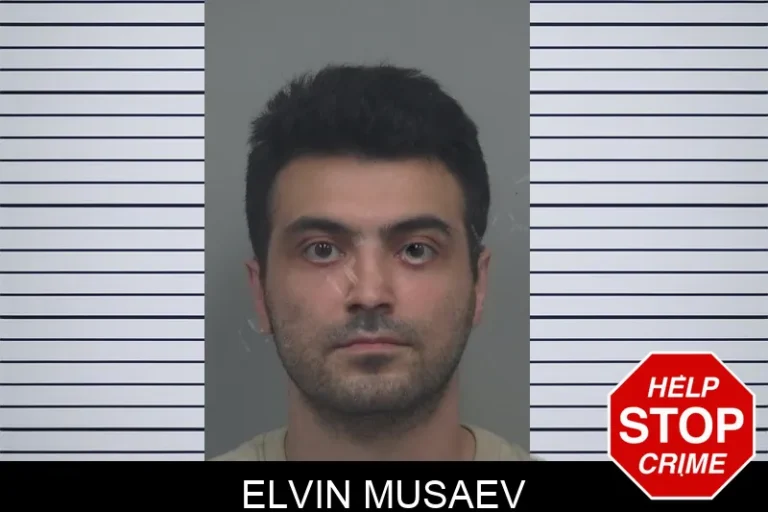Elvin Musaev mugshot – Gwinnett County , Georgia Elvin Musaev