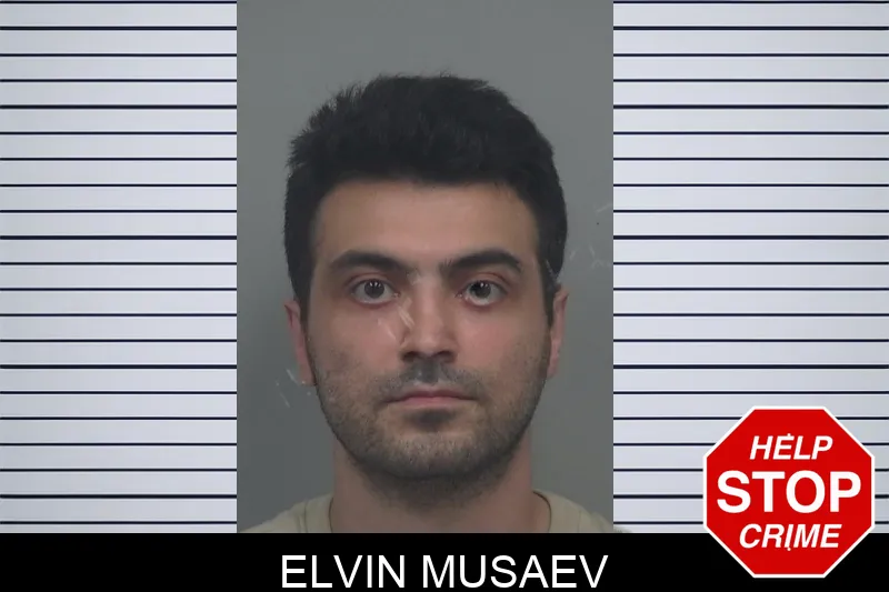 Elvin Musaev Mugshots