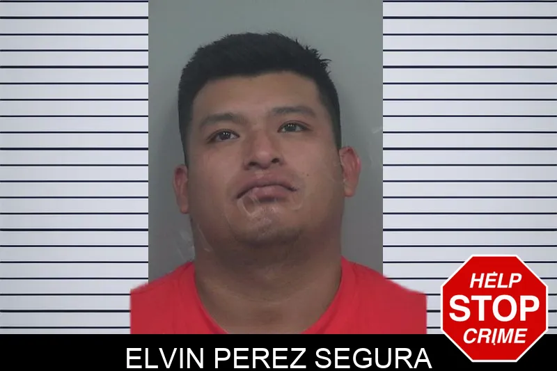 Elvin Perez Segura Mugshots