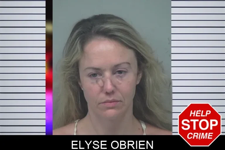 Elyse Obrien mugshot – Gwinnett County , Georgia Elyse Obrien